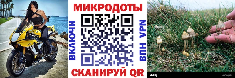 Псилоцибиновые грибы Psilocybe  Курганинск 