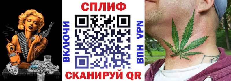 Канабис сатива Курганинск